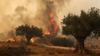 40 de pompieri rom&acirc;ni vor fi mutați &icirc;n insula Rodos, av&acirc;nd &icirc;n vedere dinamica incendiilor de vegetație.