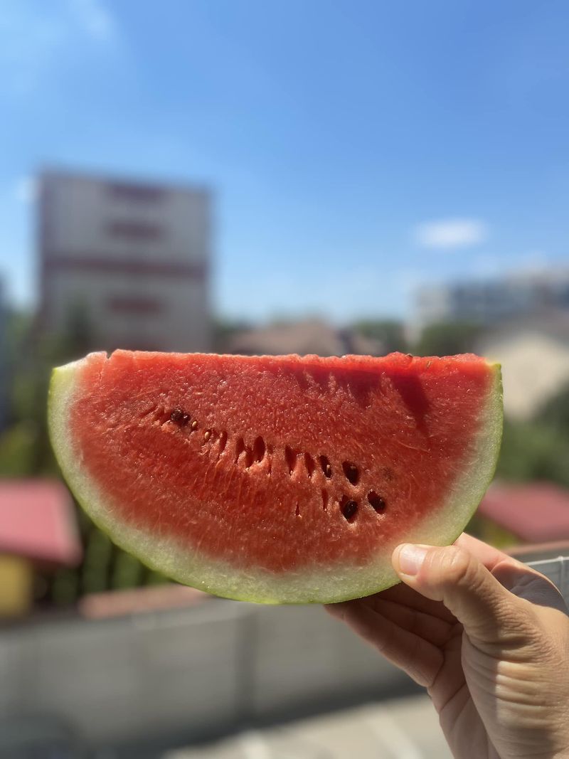 Cum alegi un pepene bun de Dăbuleni