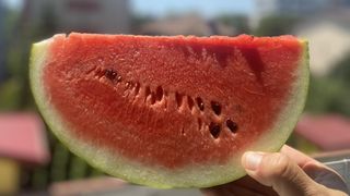 Cum alegi un pepene bun de Dăbuleni