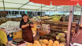 Pepenii de Dăbuleni, &icirc;n piețele din Rom&acirc;nia