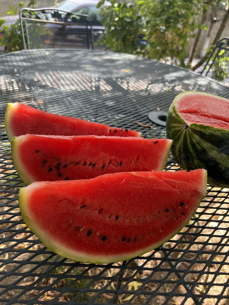 Pepenii de Dăbuleni, deliciul verii