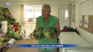 VIDEO - Primesc delicii pentru răcorire: La Grădina Zoologică Oradea, animalele sunt răsfățate cu &icirc;nghețată din fructe și iaurt