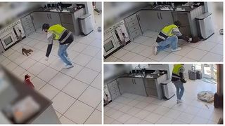 Hoțul a spart ușile de la terasă și a fugărit cățelul p&acirc;nă la prins.