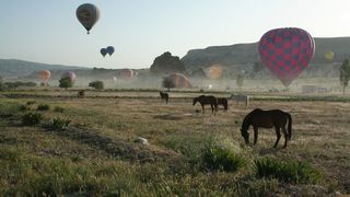 Prețurile pentru echitație &icirc;ncep de la aproximativ 20 de lire sterline de persoană pentru un tur de o oră.