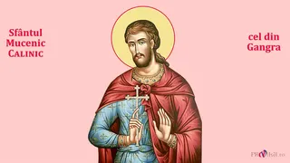 Sf. Mucenic Calinic