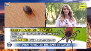 VIDEO- Virus periculos transmis de căpușe