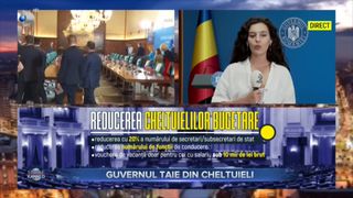 VIDEO - Guvernul taie din cheltuieli
