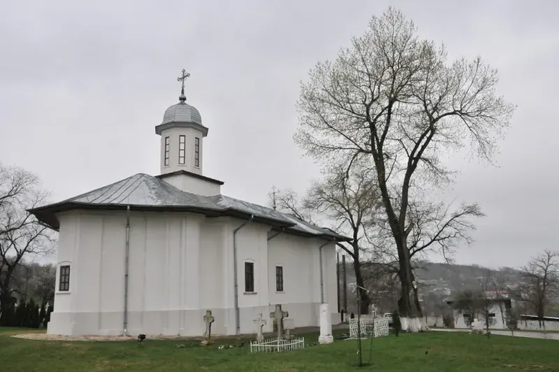 Icoana făcătoare de minuni de la mănăstirea Adam 