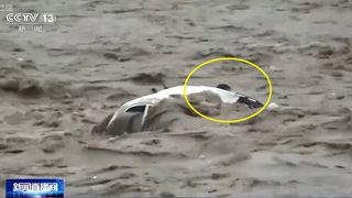 Șofer salvat în ultima clipă din viitură