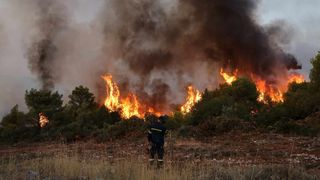 Bărbat arestat preventiv, după ce a provocat trei incendii de pădure, în Grecia. Acesta și-a recunoscut imediat faptele
