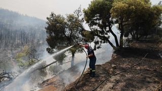 Bărbat arestat preventiv, după ce a provocat trei incendii de pădure, &icirc;n Grecia. Acesta și-a recunoscut imediat faptele