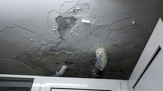 Cu ce se confruntă zilnic un student cazat la căminele din Capitală: limacşi, g&acirc;ndaci și hoți. Cum se apără Universitatea din București