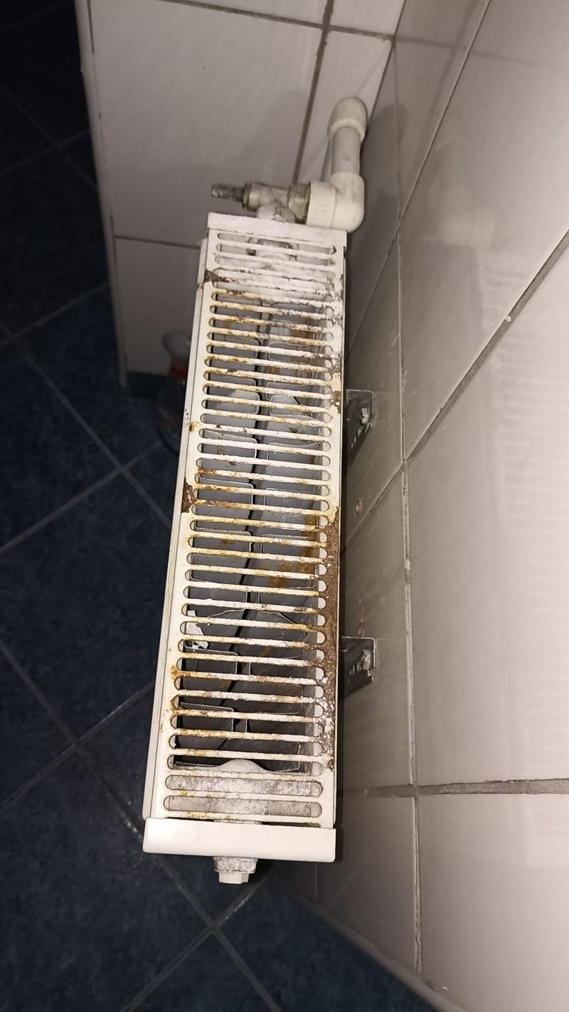 Cu ce se confruntă zilnic un student cazat la căminele din Capitală: limacşi, gândaci și hoți. Cum se apără Universitatea din București