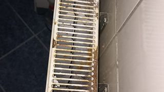 Cu ce se confruntă zilnic un student cazat la căminele din Capitală: limacşi, g&acirc;ndaci și hoți. Cum se apără Universitatea din București