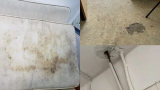 Cu ce se confruntă zilnic un student cazat la căminele din Capitală: limacşi, g&acirc;ndaci și hoți. Cum se apără Universitatea din București