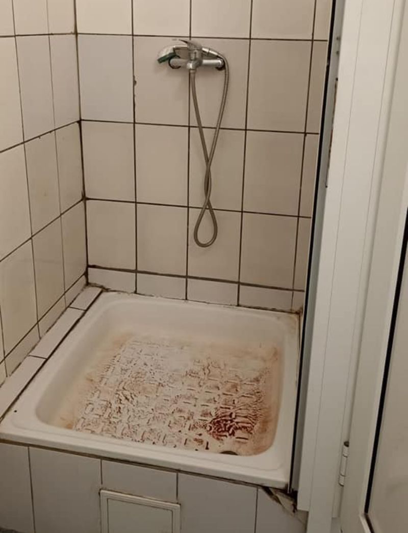 Cu ce se confruntă zilnic un student cazat la căminele din Capitală: limacşi, gândaci și hoți. Cum se apără Universitatea din București