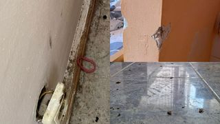 Cu ce se confruntă zilnic un student cazat la căminele din Capitală: limacşi, gândaci și hoți. Cum se apără Universitatea din București