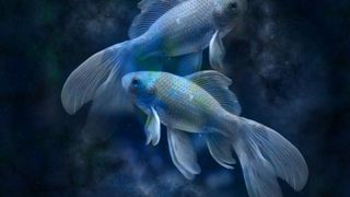 Horoscop 3 august 2023. Zodia care are oportunități de avansare în carieră