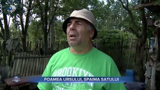 VIDEO - Panică &icirc;n județul Buzău: Un urs se plimbă nestingherit pe străzi, &icirc;n căutare de hrană