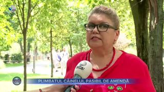 VIDEO - Plimbatul c&acirc;inelui, pasibil de amendă. Noile legi din Capitală