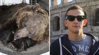 Ursoaica care a omorât un om în Italia, refuzată de autoritățile din România. Andrea a fost sfâșiat de animalul sălbatic. „Avem deja prea mulți urși”