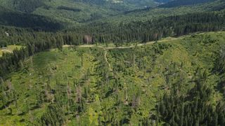 Pădurile virgine din lanțul muntos, care se &icirc;ntind pe o distanță de 1.500 km de-a lungul a opt națiuni din Europa Centrală, sunt, de asemenea, importante pentru atenuarea schimbărilor climatice.