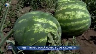 VIDEO - Preț triplu după numai 50 de kilometri. Pepenele roșu, din ce &icirc;n ce mai scump