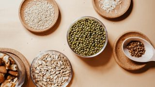 Sursele de proteină sunt foarte importante