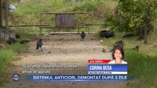 VIDEO- Sistemul anticiori, demontat după 3 zile. Aparatul anticiori, speria oamenii, nu păsările, așa cum își propusese Primăria Capitalei.