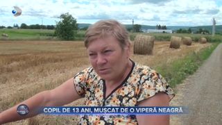 VIDEO- Copil de 13 ani, mușcat de o viperă neagră. Copilul a fost mușcat în propria curte, în timp ce se juca. Localnicii sunt speriați pentru că autoritățile nu au capturat vipera