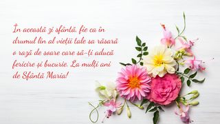 Mesaje cu La mulți ani de Sf. Maria 2023 pentru data de 15 august: Felicitări și urări frumoase