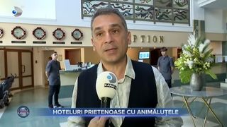VIDEO - Hotelurile de la malul mării sunt tot mai primitoare. Numărul celor care acceptă prezența necuvântătoarelor a crescut. Litoralul românesc dispune de 105 astfel de unități de cazare