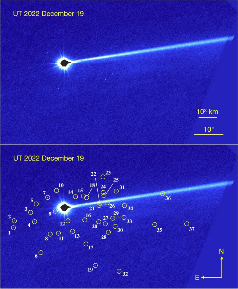 Rocile dispocate de pe asteroidul bombardat de NASA