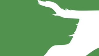 Ce vezi prima dată în această iluzie optică îți spune ce vei face cu viața ta