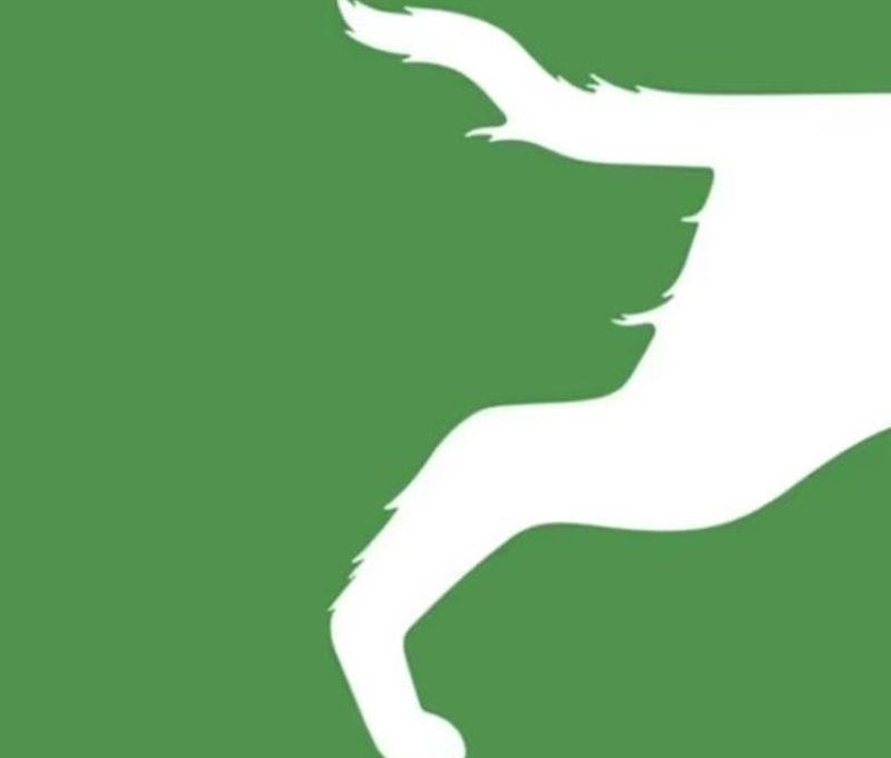 Ce vezi prima dată în această iluzie optică îți spune ce vei face cu viața ta