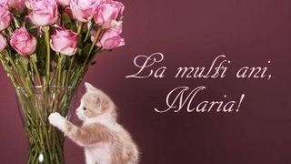 La mulți ani de Sf. Maria 2023: Mesaje, urări și felicitări pentru sărbătoriții zilei