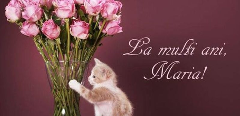 La mulți ani de Sf. Maria 2023: Mesaje, urări și felicitări pentru sărbătoriții zilei