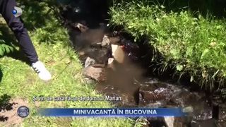 VIDEO - Minivacanță de Sf&acirc;nta Maria i-a dus pe rom&acirc;ni la munte. Mii de turiști au ales să petreacă &icirc;n pensiunile din Bucovina