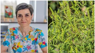 Adriana Nicolae, medic alergolog: &rdquo;Suntem &icirc;n v&acirc;rf de sezon&rdquo;