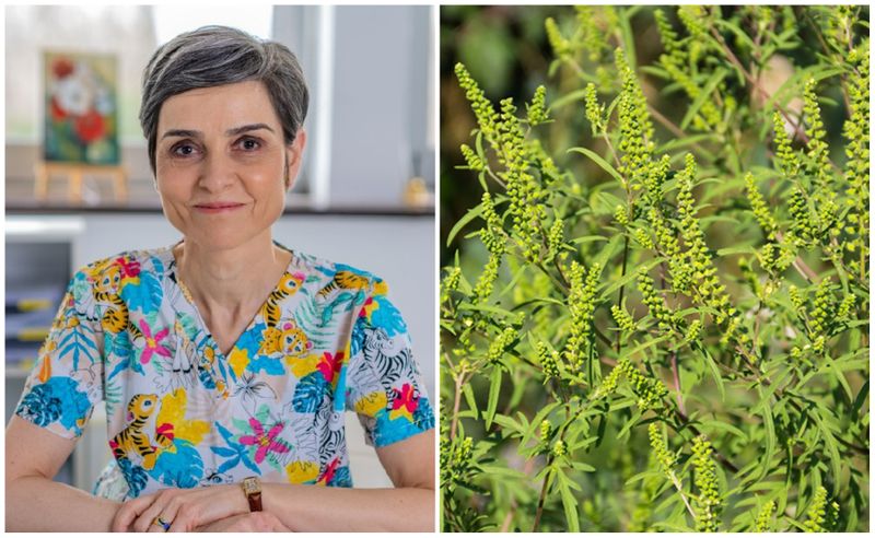 Adriana Nicolae, medic alergolog: ”Suntem în vârf de sezon”