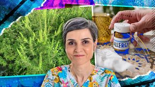 EXCLUSIV - Regulile de aur pentru alergia la ambrozie. Adriana Nicolae, medic alergolog: ”Suntem în vârf de sezon. Atenție la legume, fructe și produsele apicole”