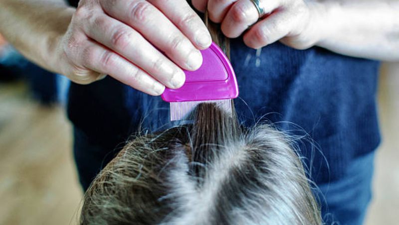 Gestul revoltător al unei mame! Femeia, vegană, refuză să o scape pe fiica sa de păduchi. „Eu nu omor ființe vii”