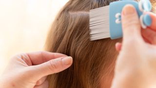 Gestul revoltător al unei mame! Femeia, vegană, refuză să o scape pe fiica sa de păduchi. „Eu nu omor ființe vii”