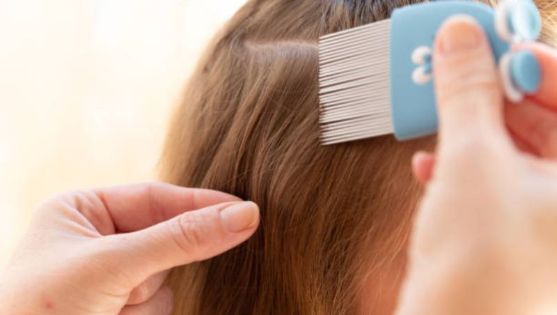 Gestul revoltător al unei mame! Femeia, vegană, refuză să o scape pe fiica sa de păduchi. „Eu nu omor ființe vii”