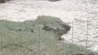 În urma exploatărilor de sare din Bacău, locuințele oamenilor riscă să o ia la vale. Întreaga zonă a fost pusă sub observație 