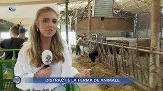 VIDEO- Distracție la ferma de animale. Oaza de verdeață de l&acirc;gă Capitală este refugiul oamenilor de a scăpa de aglomerație