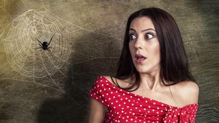 De ce nu ar trebui să omori niciodată un păianjen &icirc;n propria casă? Care sunt beneficiile lor