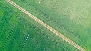 Rolul erbicidelor &icirc;n creșterea productivității și calității recoltelor