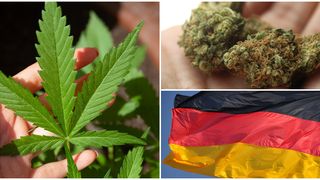 Germania va legaliza cel mai probabil marijuana în curând. Guvernul aprobă proiectul de lege privind politica în domeniul drogurilor