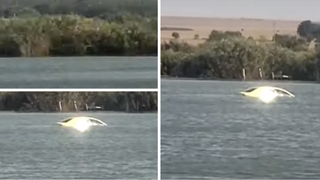 În urma neatenției unei șoferițe, mașina sa a ajuns în mijlocul unui lac din Constanța. Cum s-a produs, de fapt, incidentul